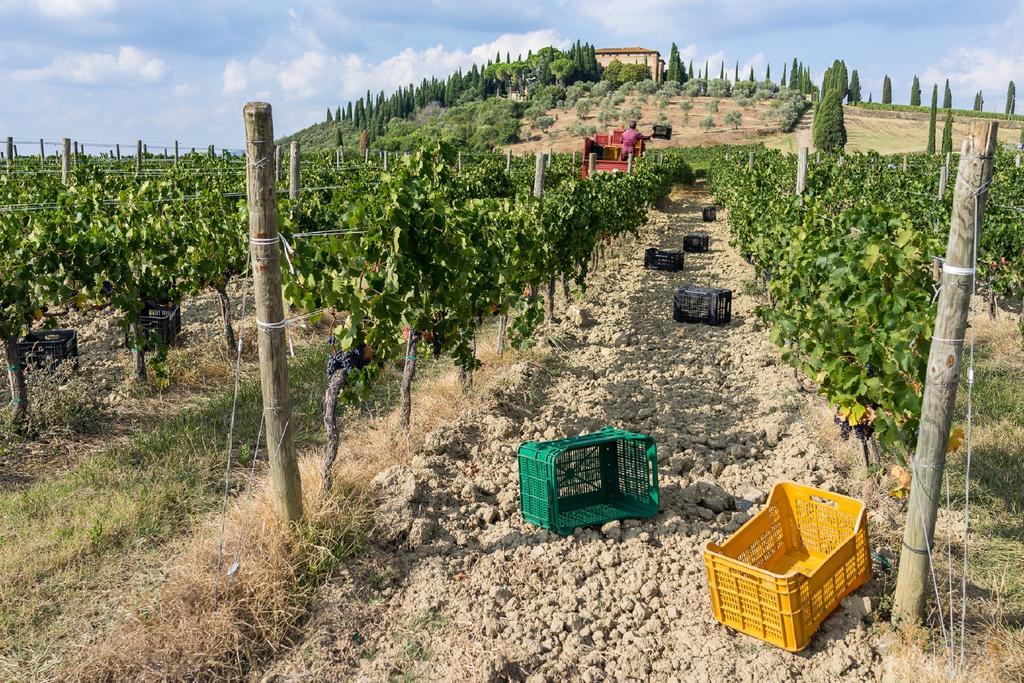 Argiano Dimore Wine Relais Экстерьер фото