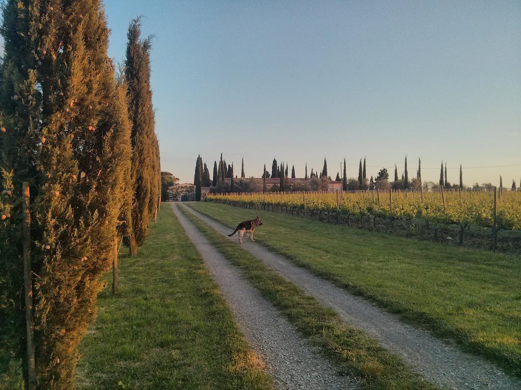 Argiano Dimore Wine Relais Экстерьер фото